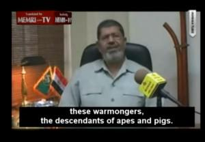 MEMRI 1.png