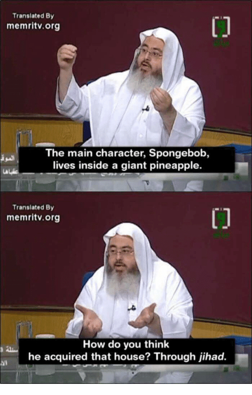 memri.png