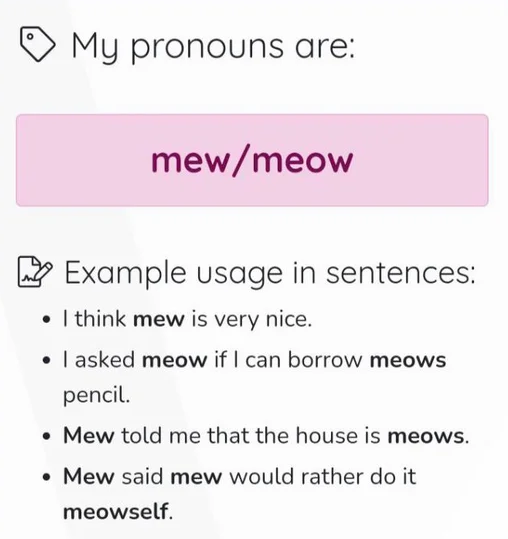 meow.png