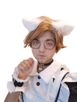 meowsh.png