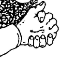 merchants hands.png