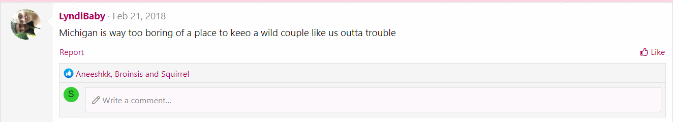 michigan.png