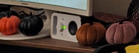 Mini Pumpkins.PNG