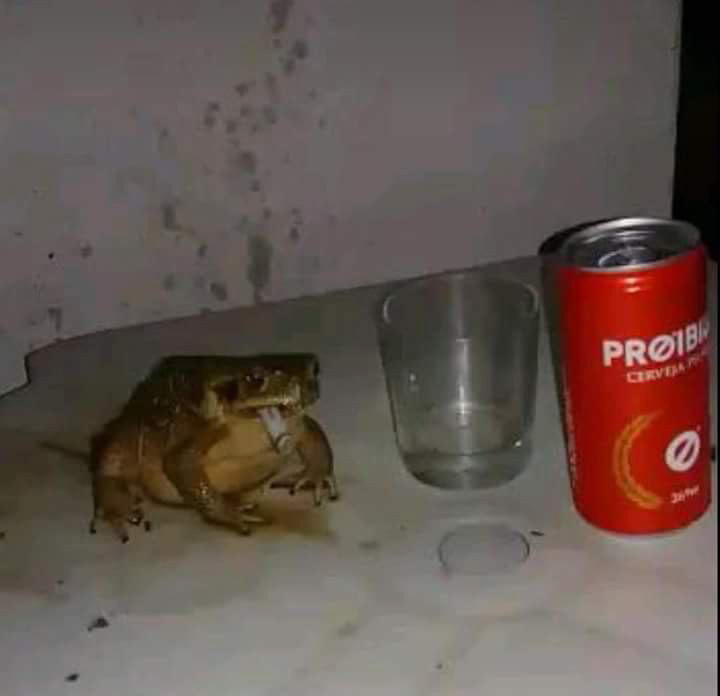 miseryfrog.jpg