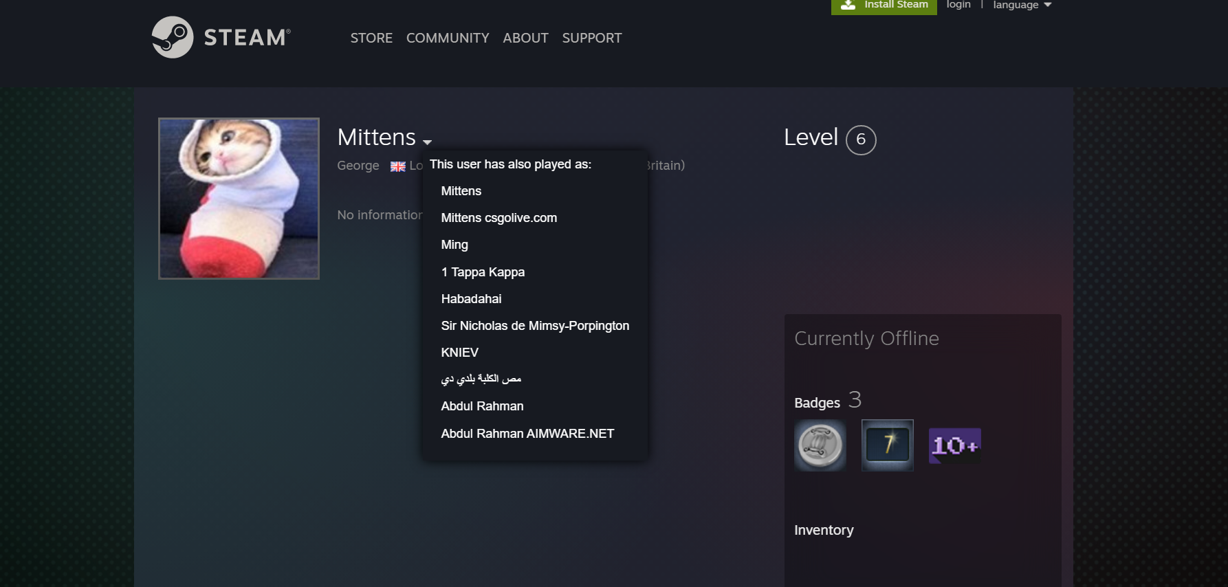 Mittens.png