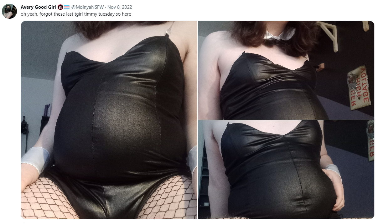 moinyansfw twitter.PNG