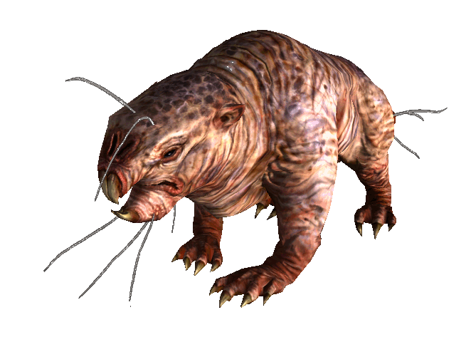 molerats.png