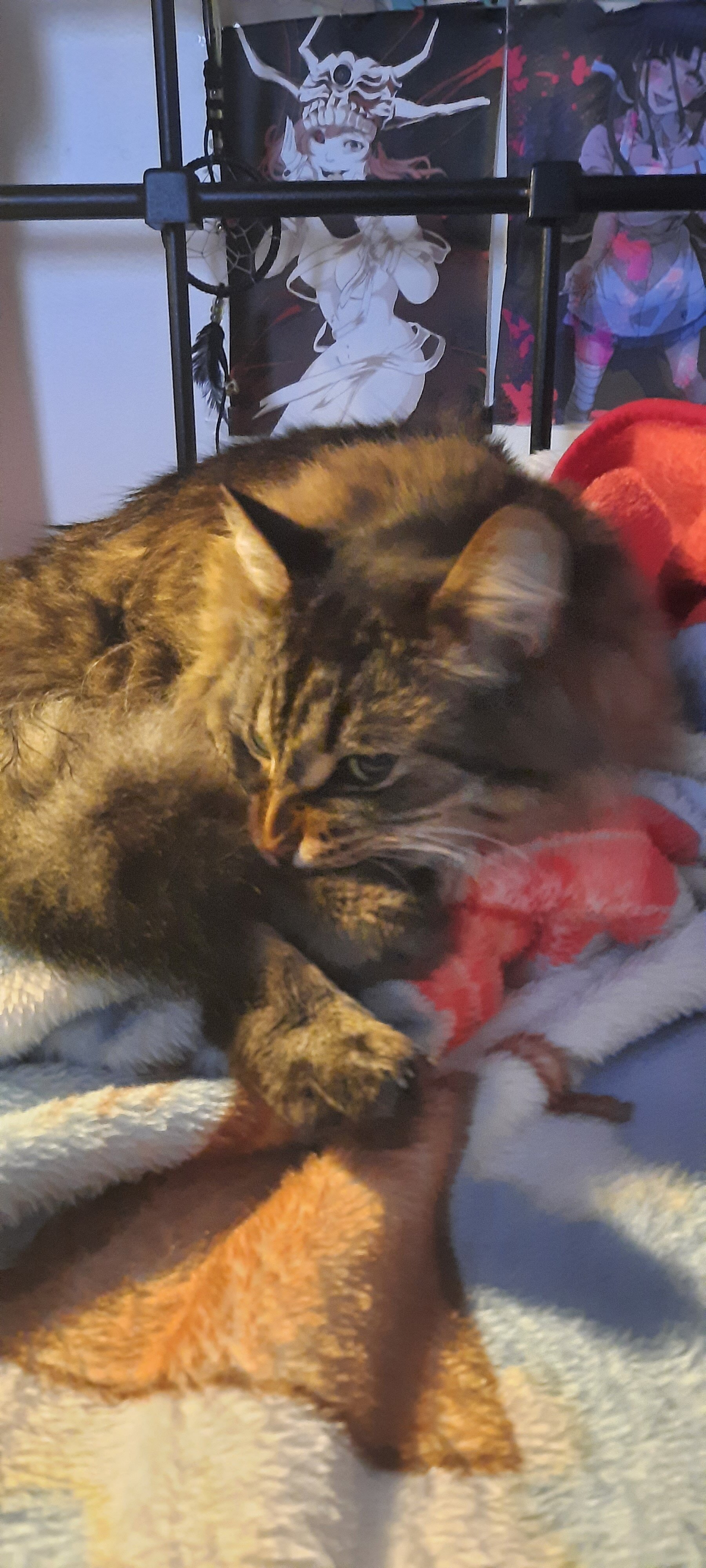 Monch.jpg