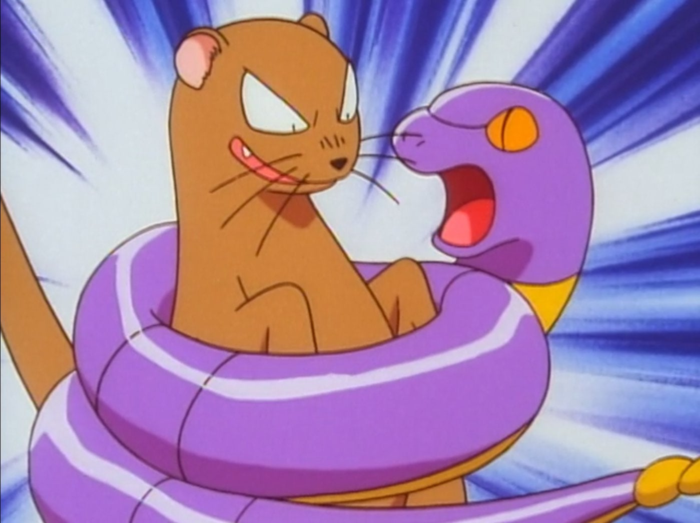 mongoose.jpg