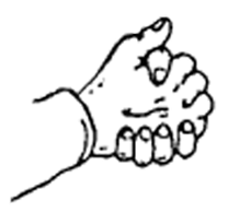 moni.png