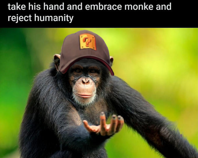 monke.png