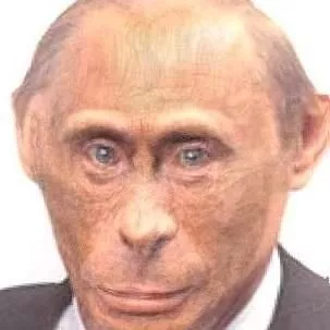 monke.webp
