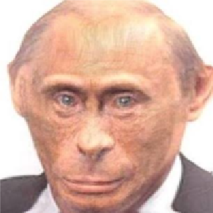 monkeputin.png