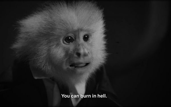 monkey burn in hell.jpg