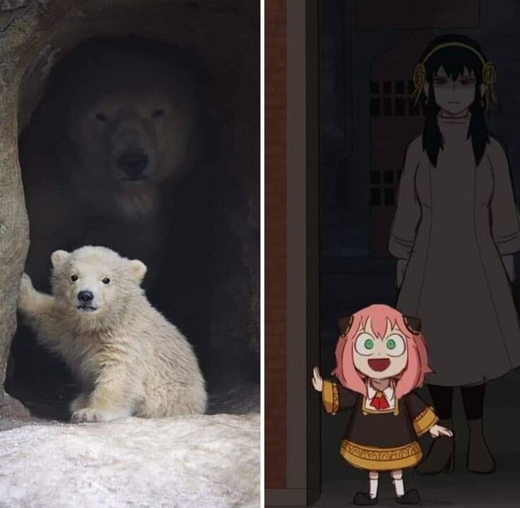 mother bear.jpeg