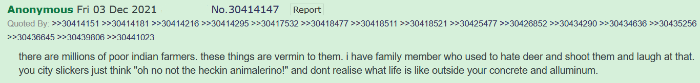 mp26.png