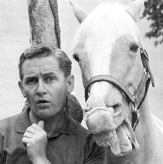 Mr. Ed.jpg