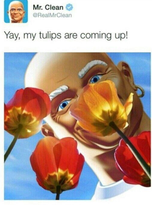 mrclean.png