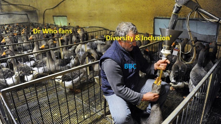 MUDIV.jpg
