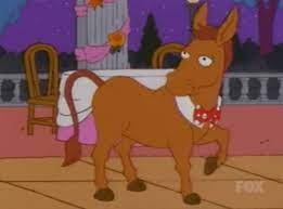 Mule.jpg
