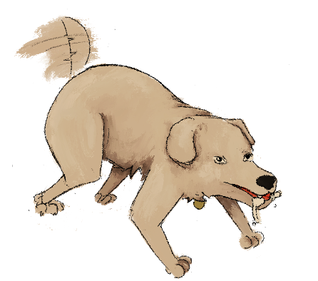 mutt.png