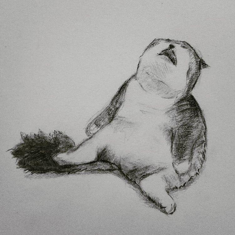 Napbuds.jpg
