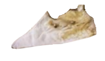 napkin.png