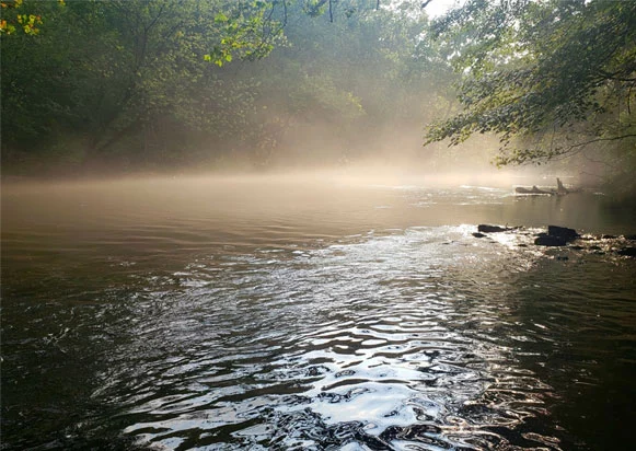 nature1.webp