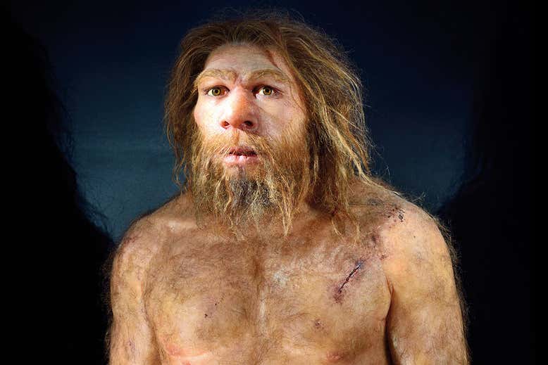 neanderthal.jpg