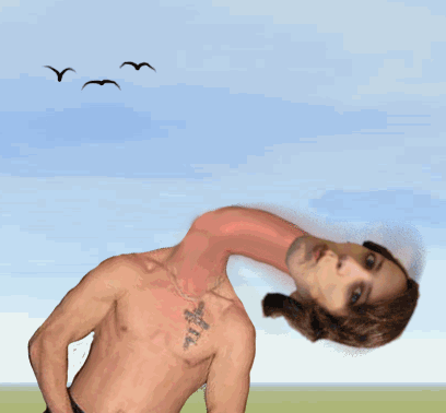 neckspin.gif