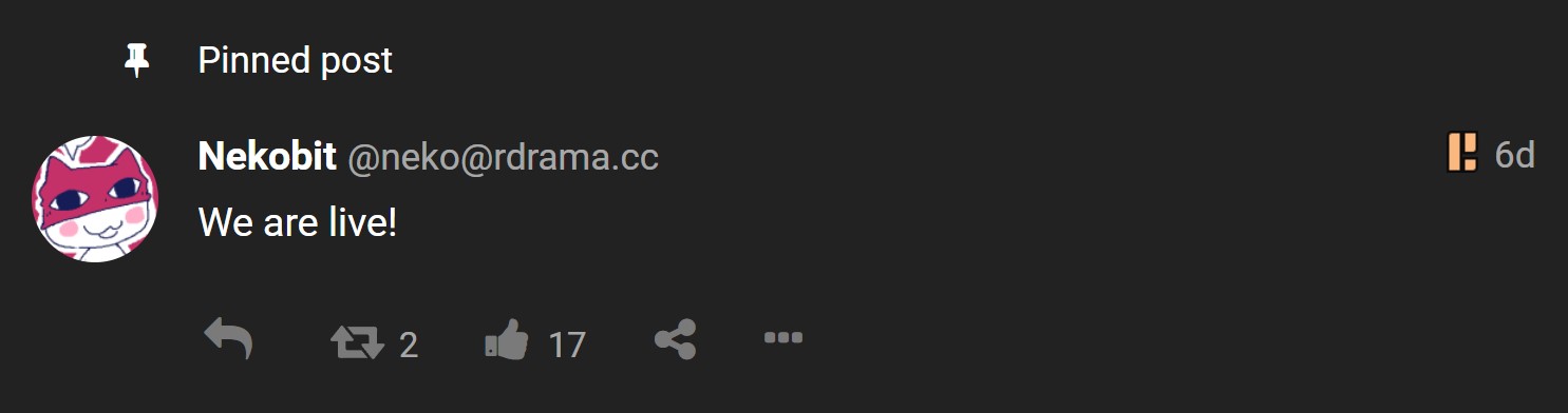 neko.jpg