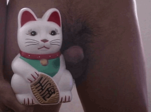 Neko_Cock.gif