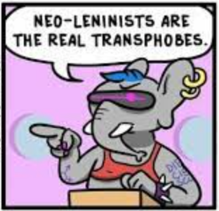 neo.png