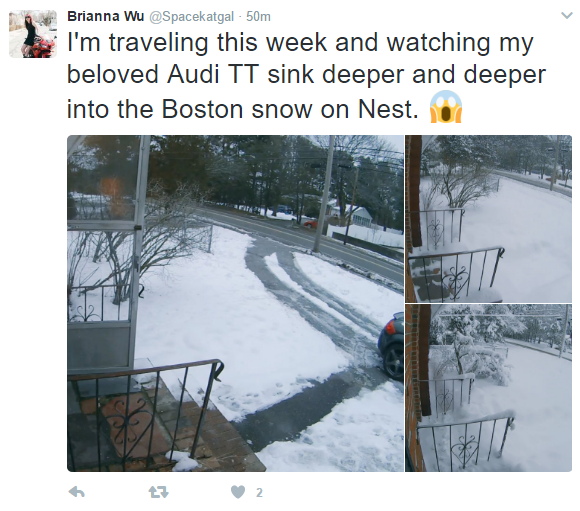 nest.png
