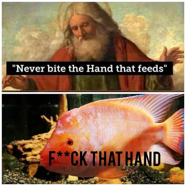 neverbite.jpg