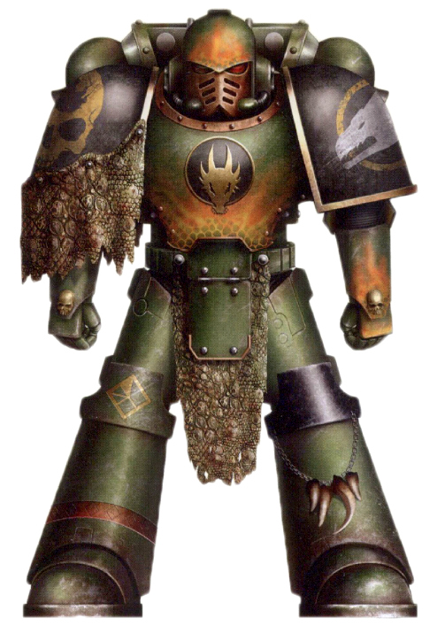 New Salamanders.jpg
