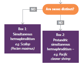 nicedecisiontree.png
