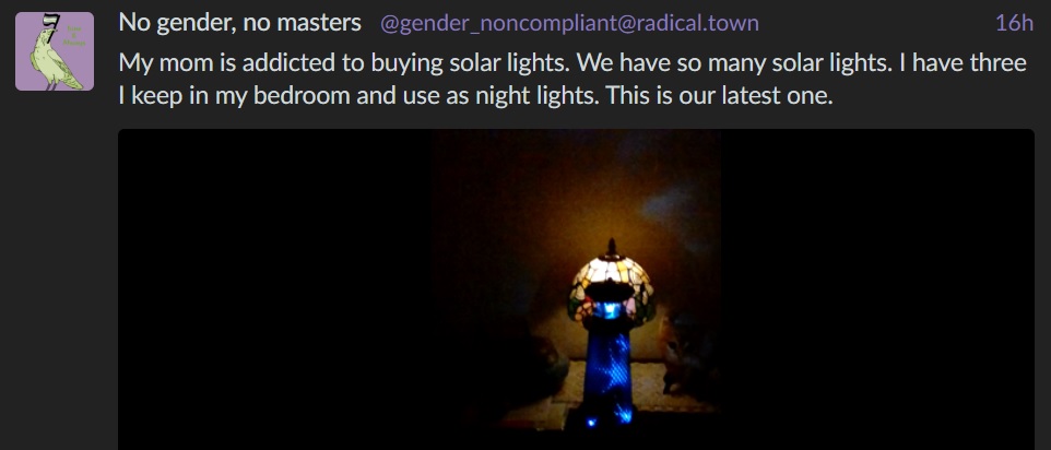 nightlights.jpg