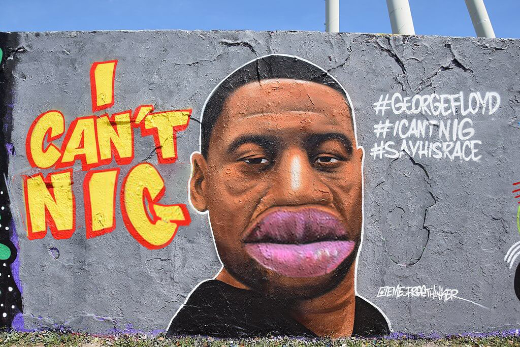nigs.jpg