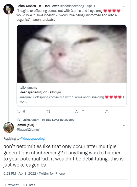 no words.PNG