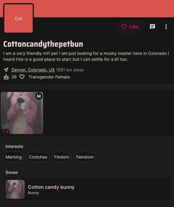 no1.jpg