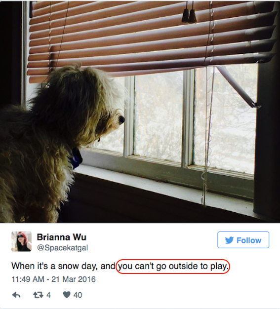 no_dog_door.png