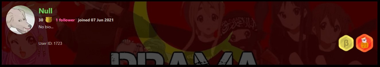nool.jpg