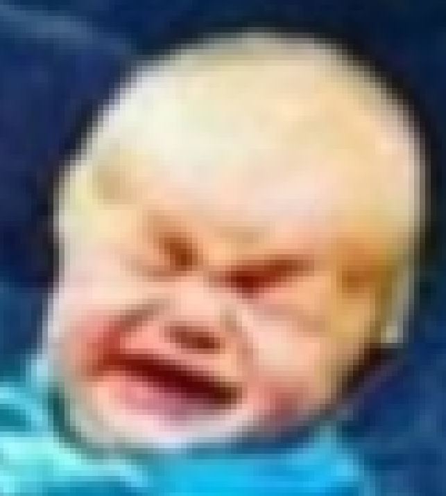 nooodonal.JPG