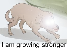 noool.png