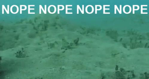 nopeoctopus.gif
