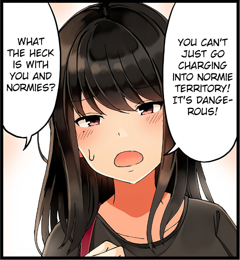 normies.png