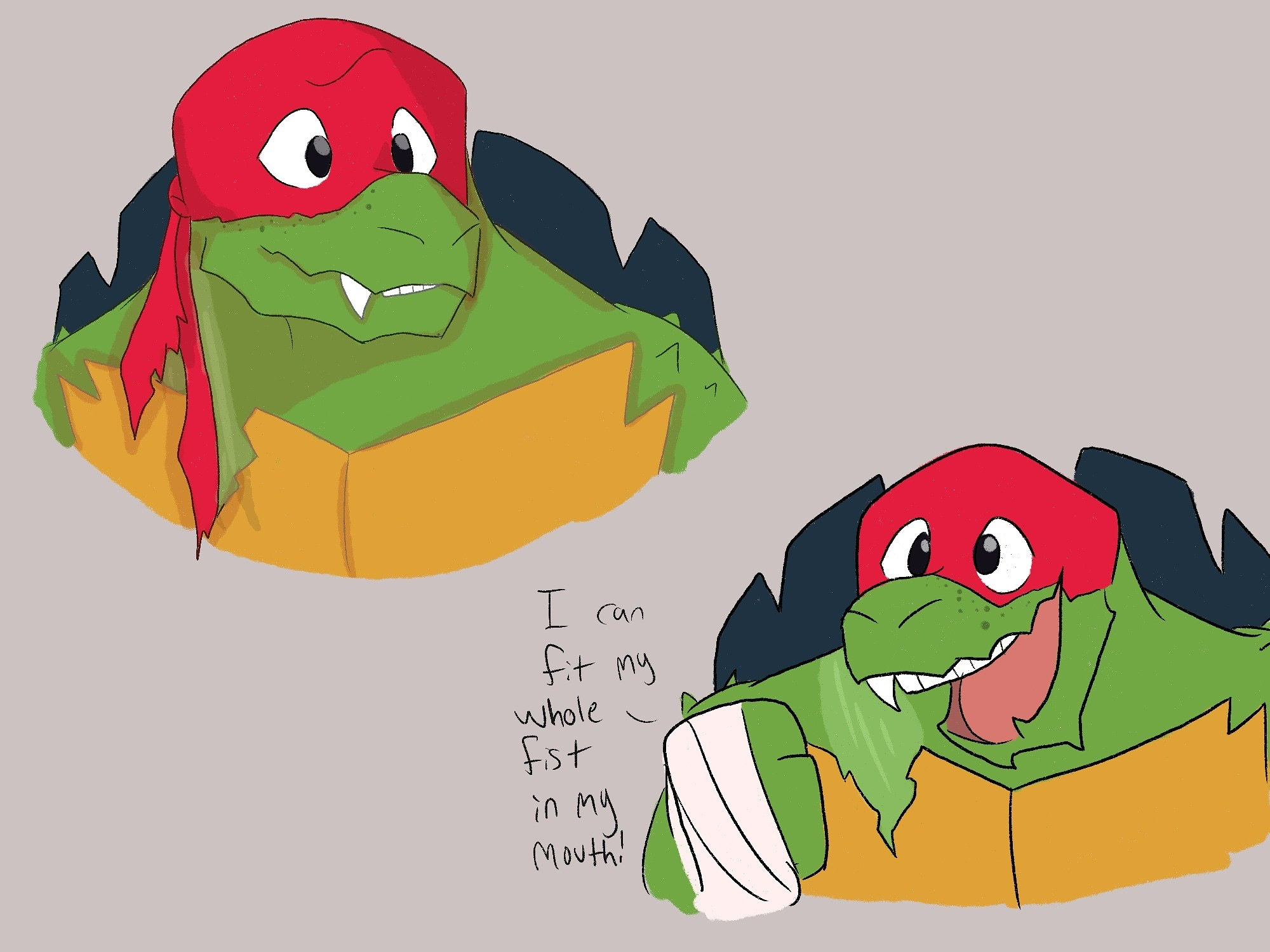not a turtle.jpg