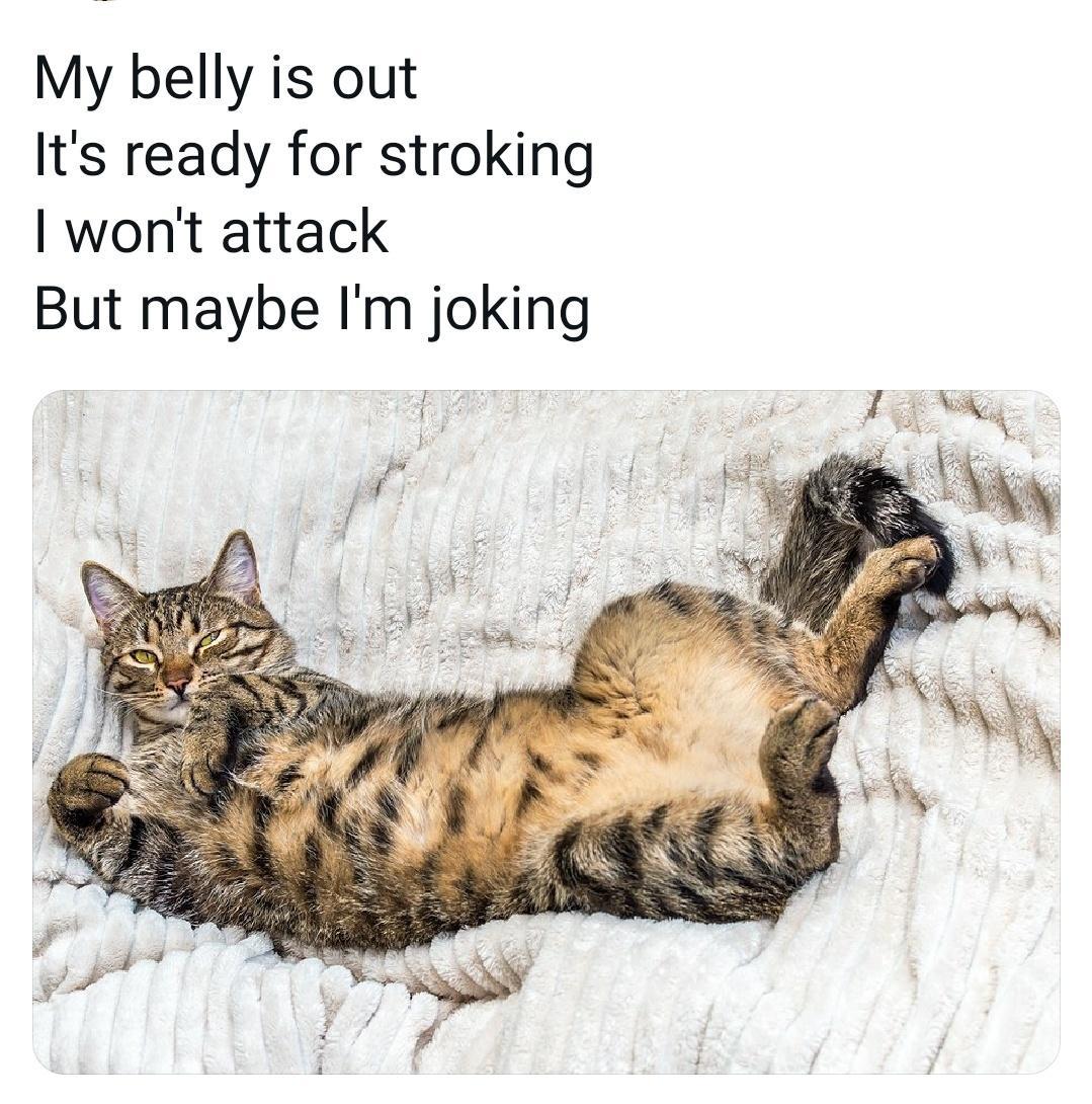 nQNsv9a.jpeg