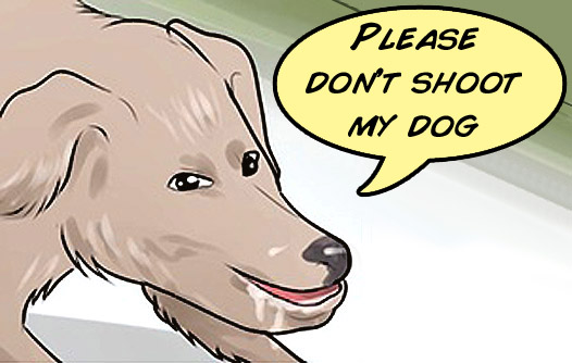 720798